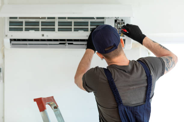 Best Air Duct Mold Removal  in Cologne, MN