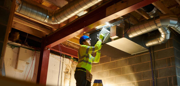 Best Air Duct Cleaning Near Me  in Cologne, MN