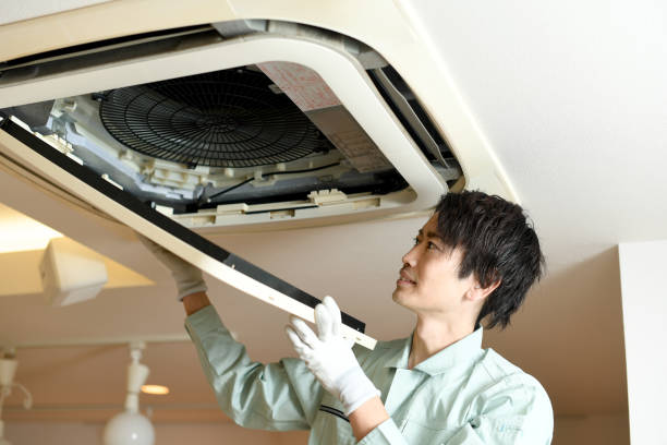 Best Ductwork Cleaning Services  in Cologne, MN