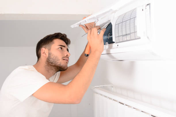 Best Air Duct Cleaning Company Near Me  in Cologne, MN